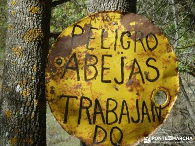 Atazar - Meandros Río Lozoya - Pontón de la Oliva - Senda del Genaro;pueblo fantasma